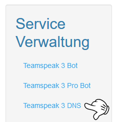 Grafik mit dem Hinweis zur TSDNS Service Verwaltung