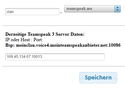 Grafik aus dem TSDNS Interface mit Einstellmöglichkeiten für eine TSDNS Weiterleitung.